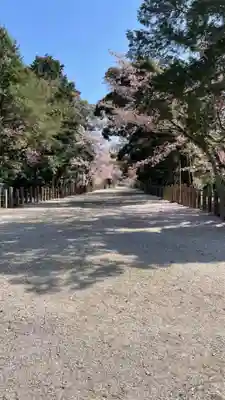 住吉神社のその他建物