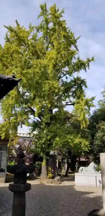 三囲神社(東京都)