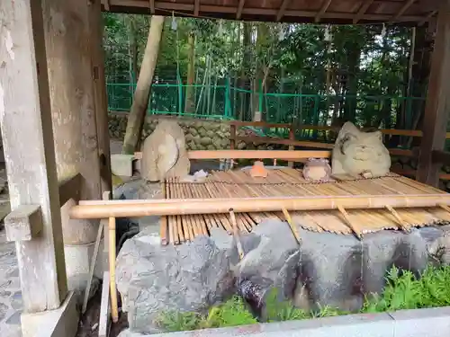 椿大神社の手水