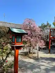 源九郎稲荷神社の建物その他