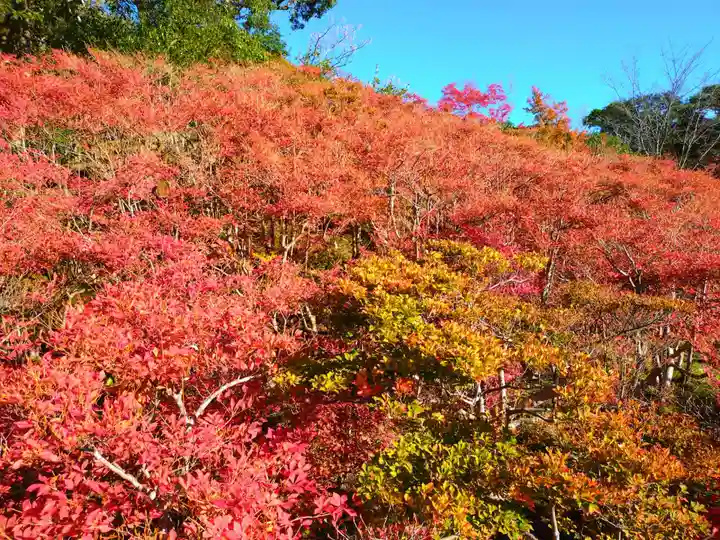 寿量山 速成寺(奈良県)