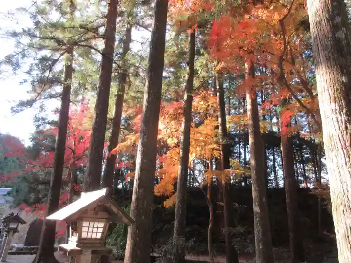 小國神社の自然