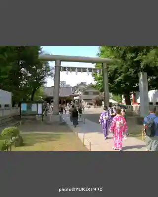 浅草神社の鳥居
