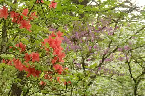 深山巴の宿の自然