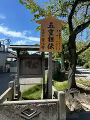 雲心寺(愛知県)