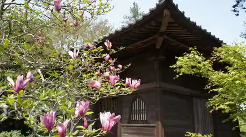 観音寺(千葉県)