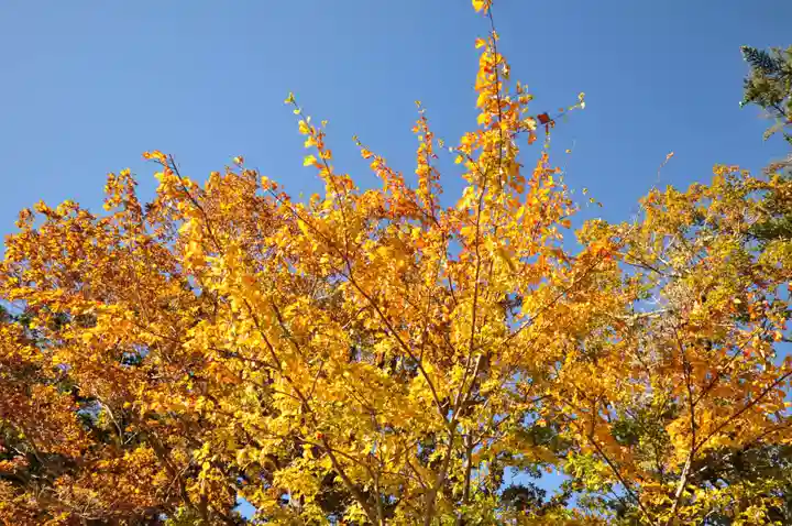 石鎚神社 土小屋遥拝殿(愛媛県)