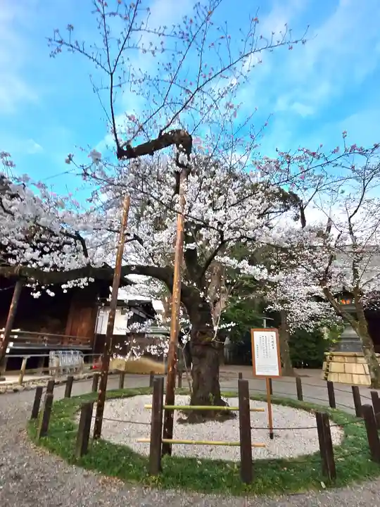 靖國神社(東京都)