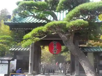 長谷寺の山門・神門