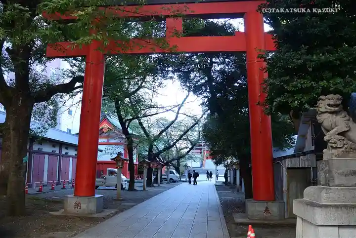花園神社の鳥居
