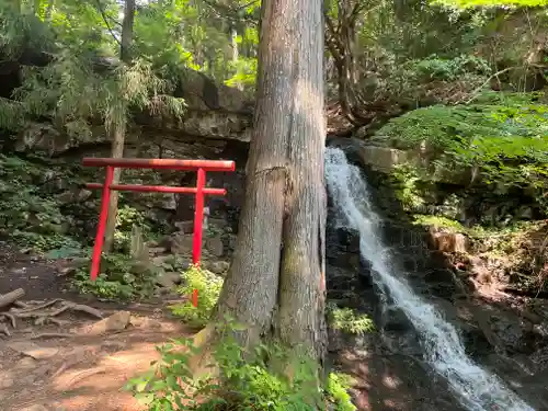 母の白滝神社の鳥居