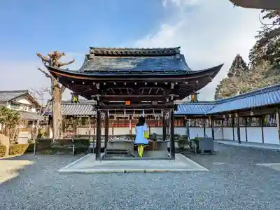 沙沙貴神社の手水舎