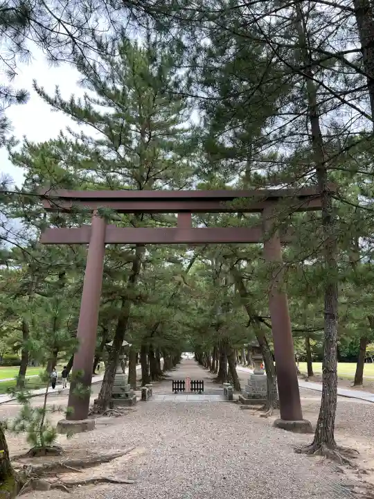 出雲大社の鳥居