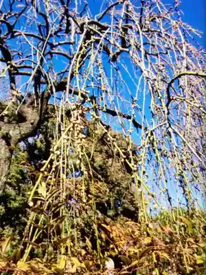 西念寺(東京都)