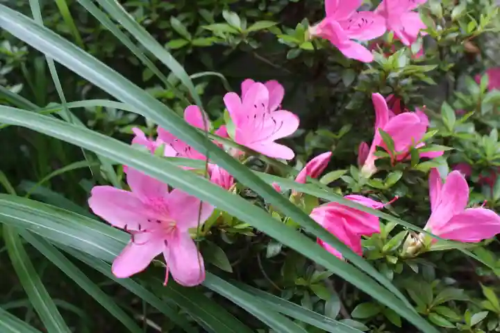 尊陽院(京都府)