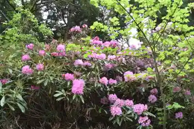 比叡山延暦寺の周辺