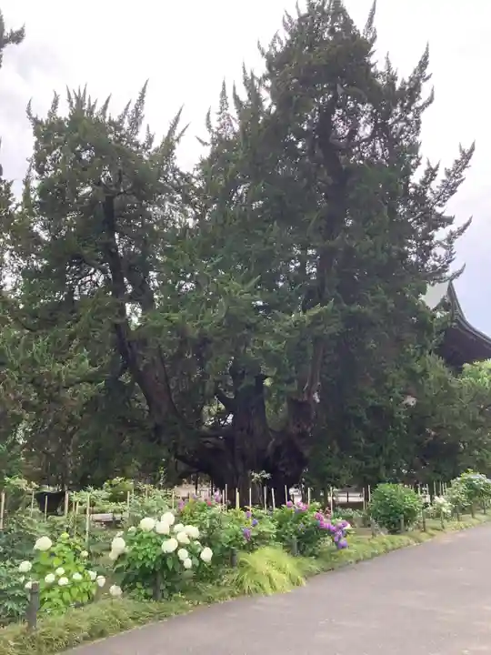 建長寺(神奈川県)