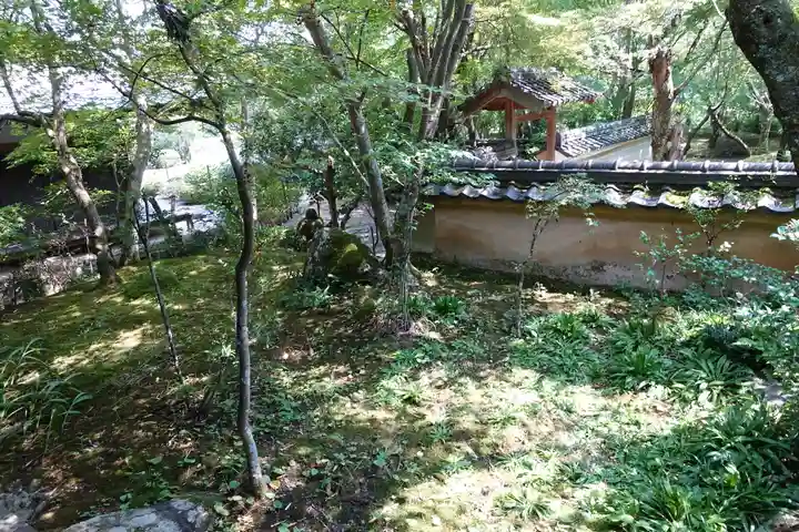 勝持寺(花の寺)の自然