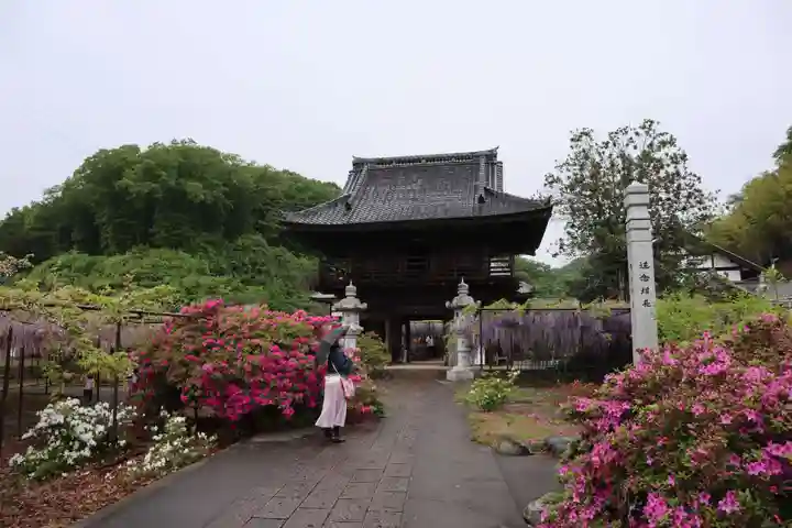 長泉寺の山門・神門
