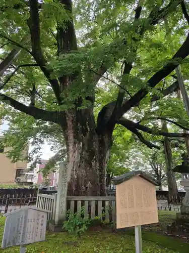 神明宮(石川県)