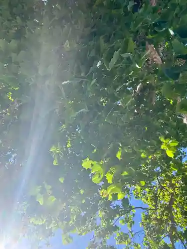 龍宮神社(北海道)