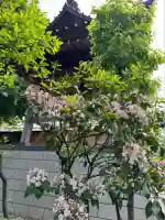 常徳院(東京都)