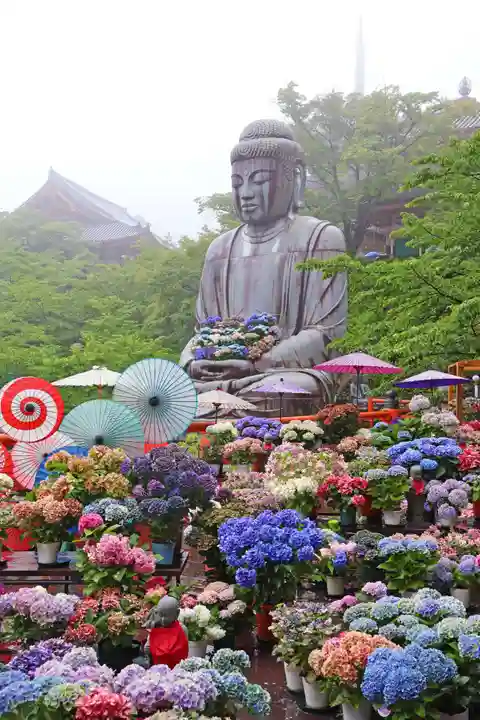 南法華寺(壷阪寺)(奈良県)