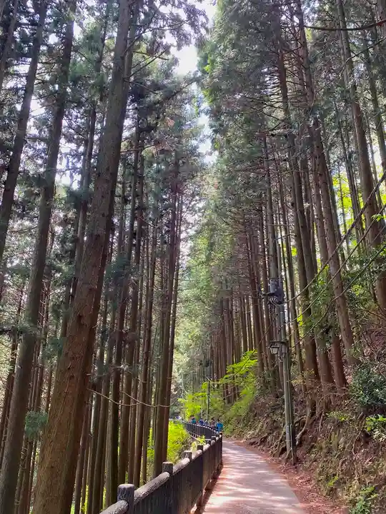 武蔵御嶽神社の周辺