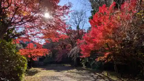 常照寺(京都府)