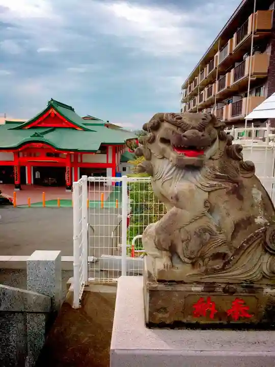 身代り不動尊 大明王院 川崎別格本山の狛犬