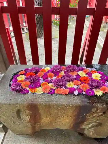 白山神社(新潟県)