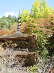 金剛院の建物その他