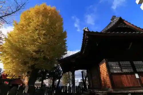 晴門田神社の本殿