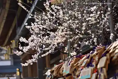 湯島天満宮のその他建物