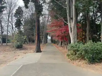 簳幹八幡宮(東京都)