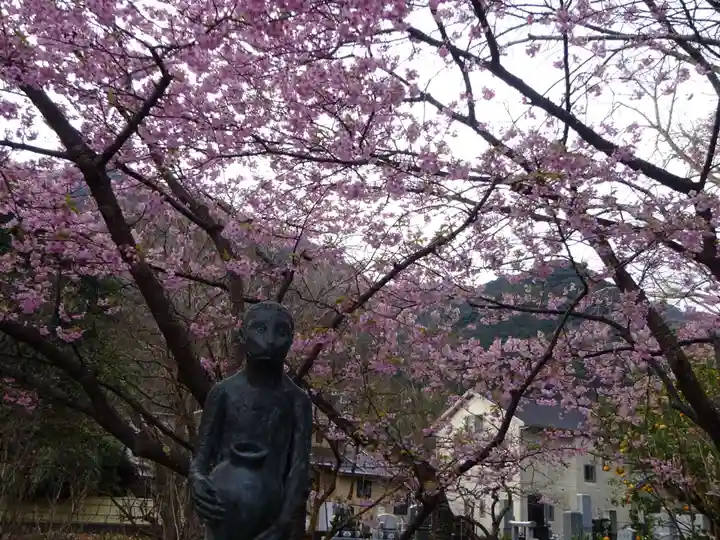かっぱの寺 栖足寺の自然