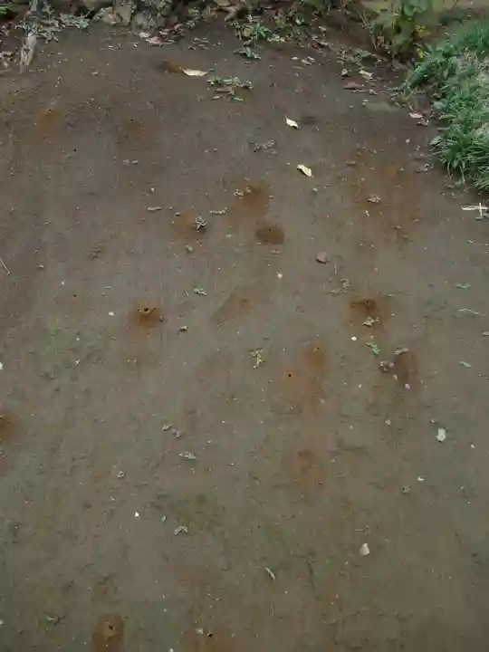 伏木香取神社(茨城県)