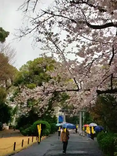 阿佐ヶ谷神明宮(東京都)