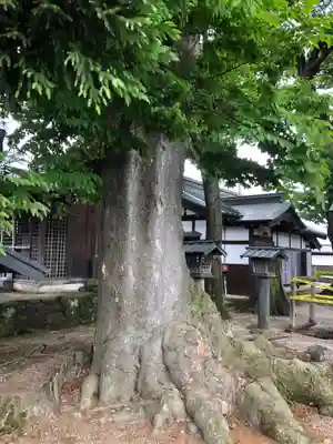 達屋酢蔵神社(長野県)