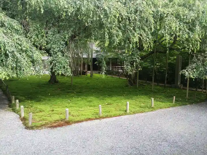 常照皇寺の自然