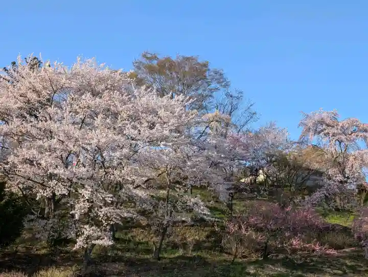 高屋敷稲荷神社の{uncategorized: "未分類", other: "その他", undefined: "問題あり", building: "その他建物", grave: "お墓", sacred_gate: "鳥居", guardian: "狛犬", statue: "像", buddha: "仏像", history: "歴史", nature: "自然", garden: "庭園", animal: "動物", pagoda: "塔", temizu: "手水舎", mountain_gate: "山門・神門", sanctuary: "本殿・本堂", subordinate: "末社・摂社", art: "芸術", scenery: "景色", jizo: "地蔵", ema: "絵馬", goshuin: "御朱印", omikuji: "おみくじ", items: "授与品その他", amulet: "お守り", goshuincho: "御朱印帳", eats: "食事", festival: "お祭り", votive_dance: "神楽", shichigosan: "七五三参", wedding: "結婚式", experience: "体験その他", initially: "初詣", around: "周辺", anti_infection: "感染症対策"}