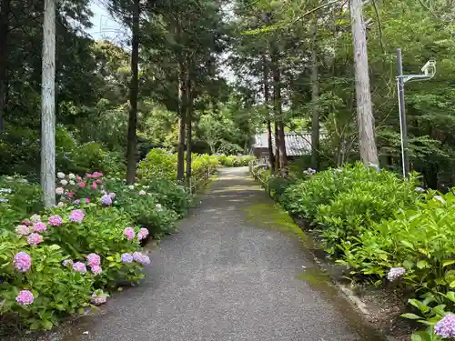 熊谷寺(徳島県)