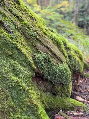 戸隠神社奥社(長野県)