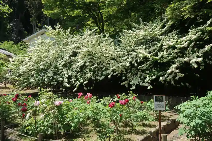 長谷寺(奈良県)