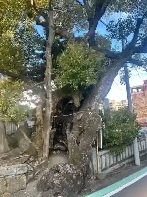 湯前神社(静岡県)
