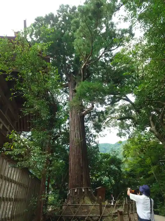 須佐神社(島根県)