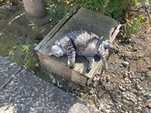 回向院(東京都)