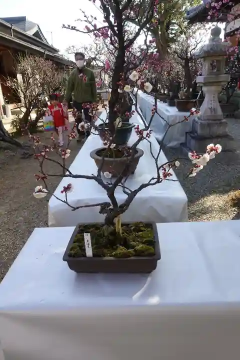 菅原天満宮(菅原神社)のその他建物