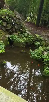 金櫻神社(山梨県)