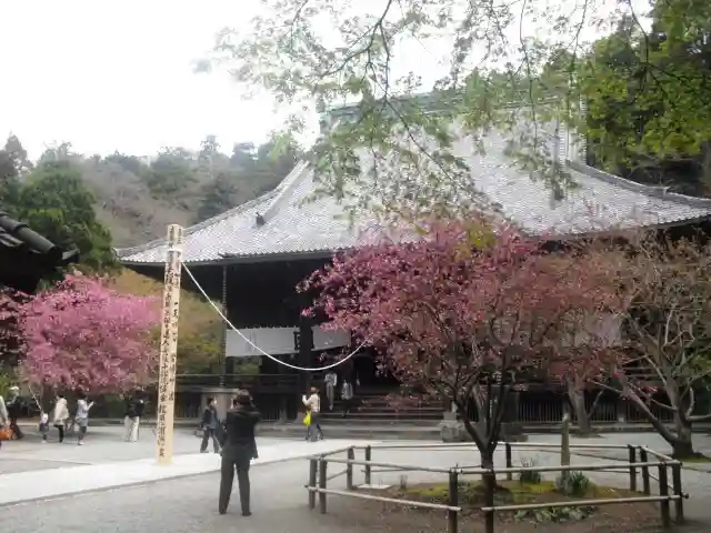 妙本寺の本殿・本堂